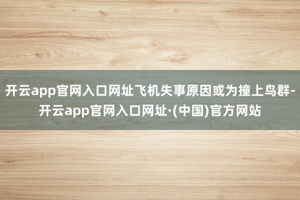开云app官网入口网址飞机失事原因或为撞上鸟群-开云app官网入口网址·(中国)官方网站