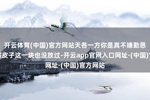 开云体育(中国)官方网站天各一方你是真不嫌勤恳啊！诚然皮子这一块也没放过-开云app官网入口网址·(中国)官方网站