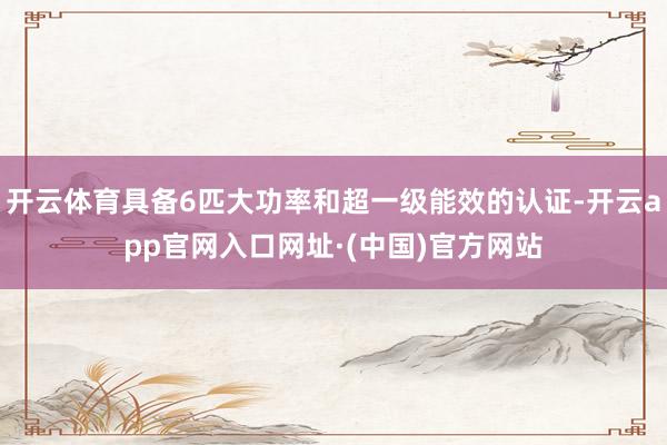 开云体育具备6匹大功率和超一级能效的认证-开云app官网入口网址·(中国)官方网站